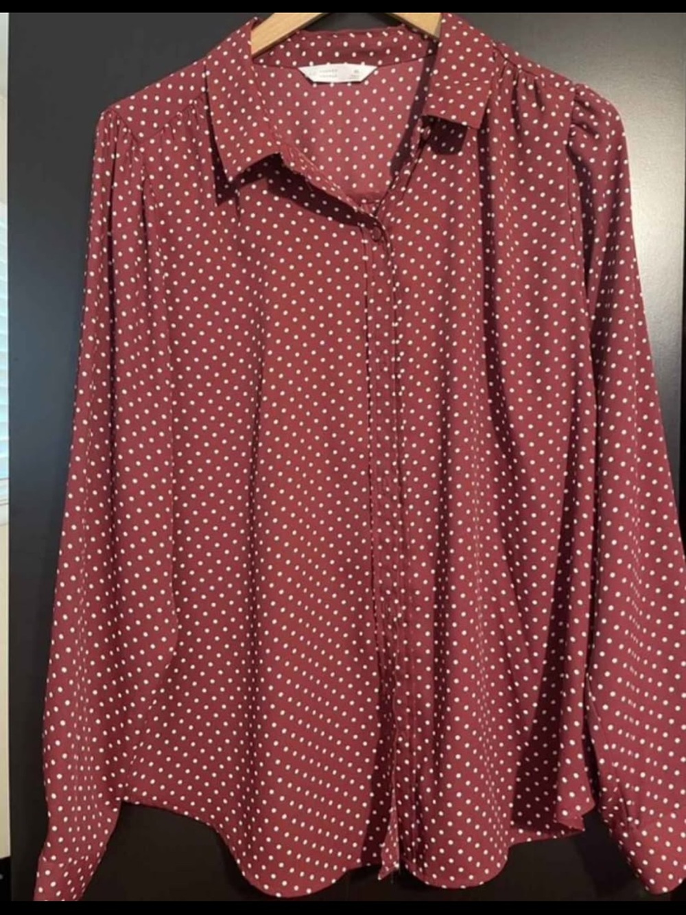 NWT Lauren Conrad LC Polka Dot Button-Up Shirt - Burgundy